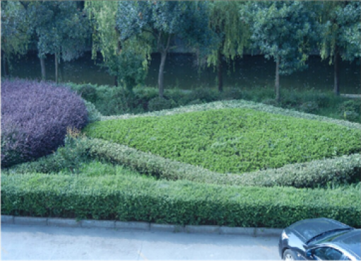 “美化公司、去除雜草、清理死角”——記黨員月主題活動(dòng)