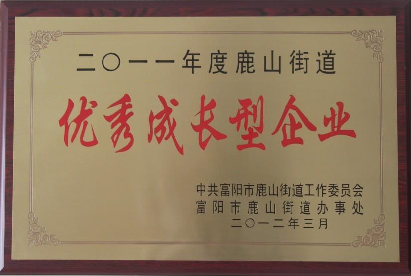 永盛儀表榮獲2011年度“優(yōu)秀成長型企業(yè)”榮譽稱號
