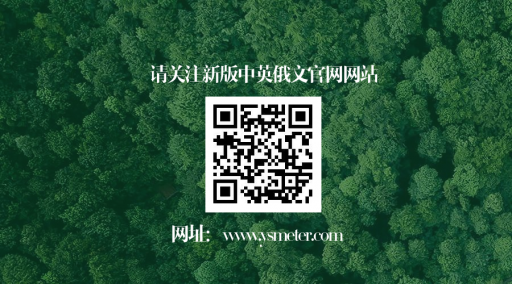 十月國慶來臨之際 永盛科技新版官網(wǎng)正式上線